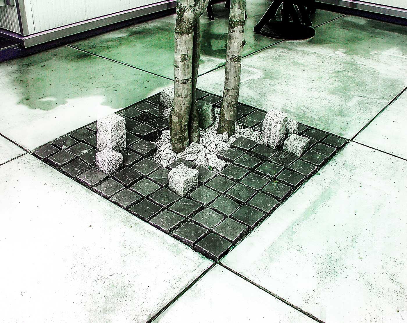 ヤマモミジ根締修景の詳細