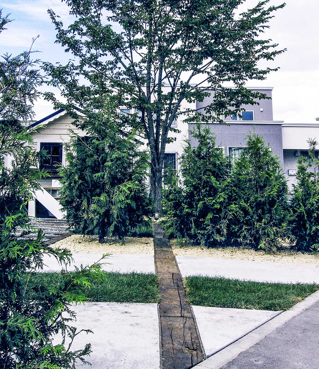 ハルニレとつながる枕木ボーダー