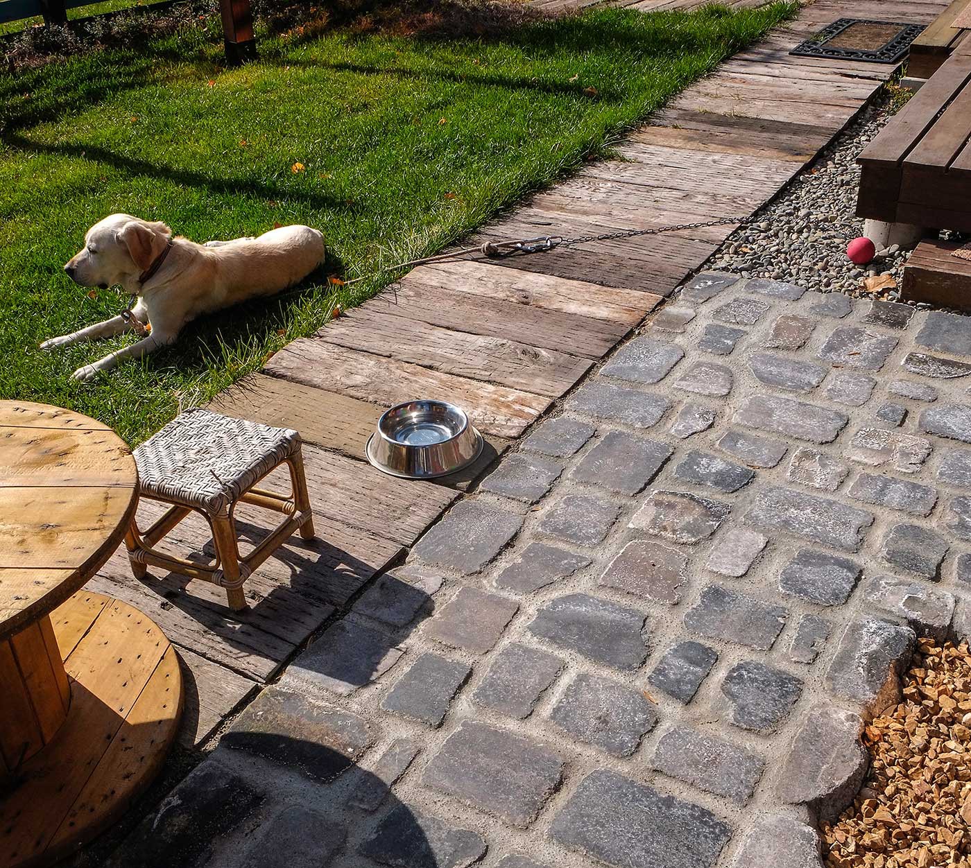 ワンちゃんもリラックス