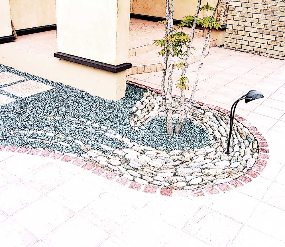 ヤマモミジの足元