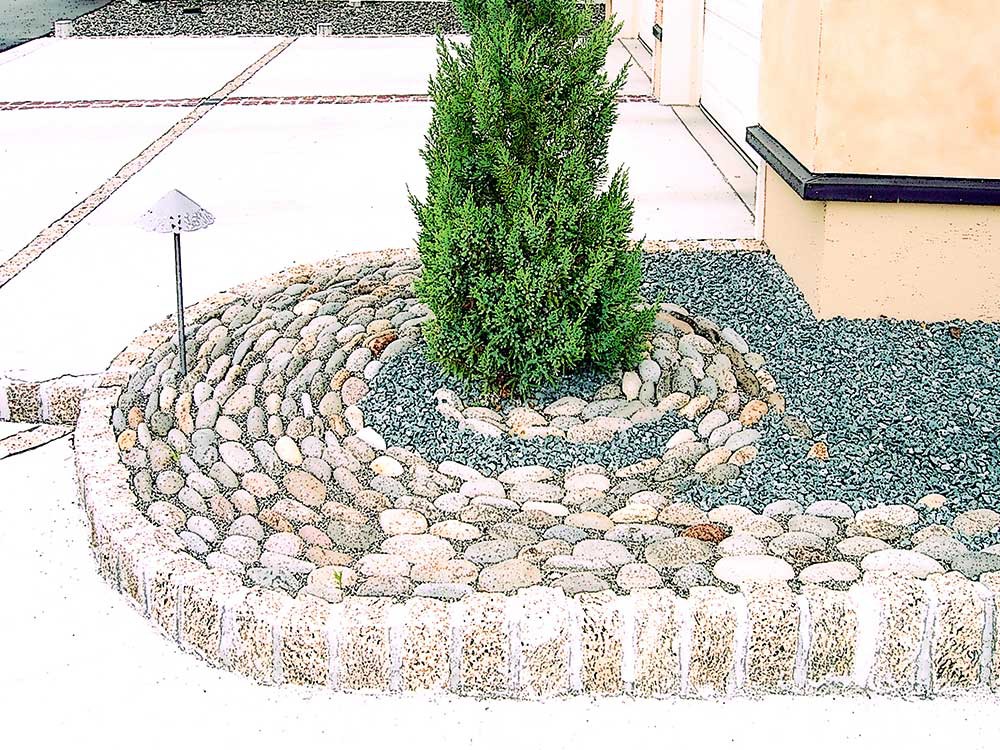 ビャクシンの足元