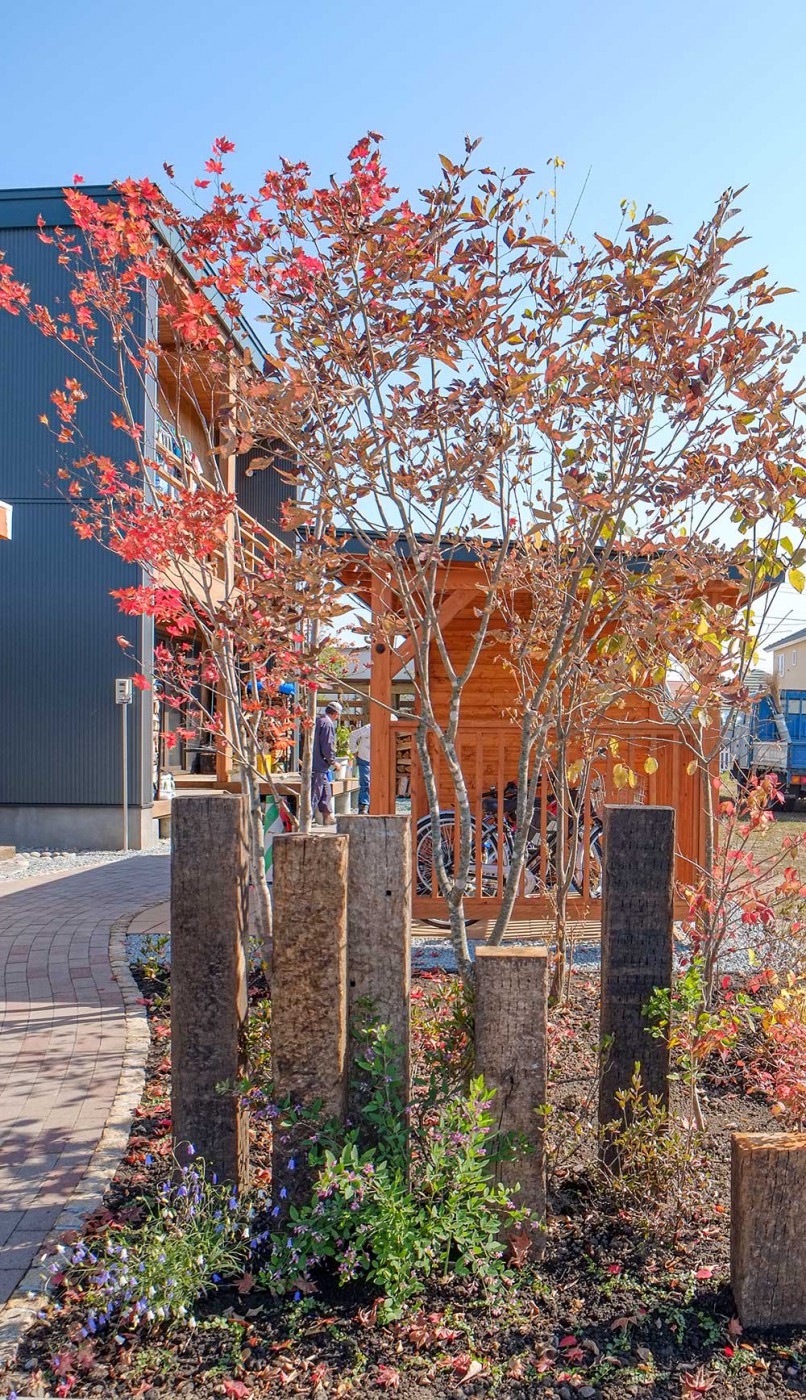 エントランスサイド植栽（秋）