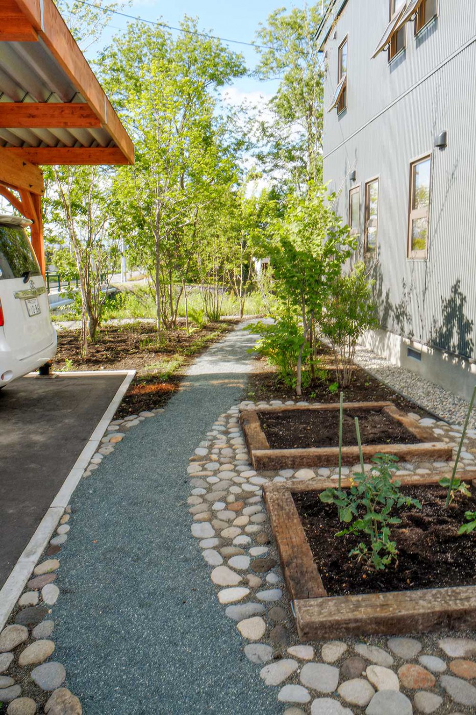 2015年の小径付近