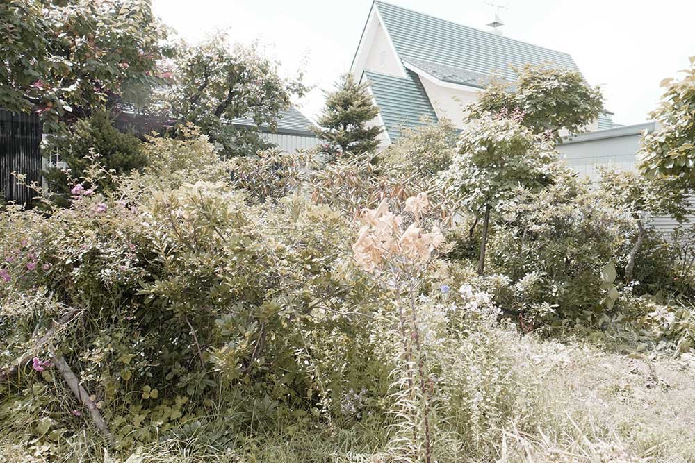 施工前の状況はこんな感じでした。