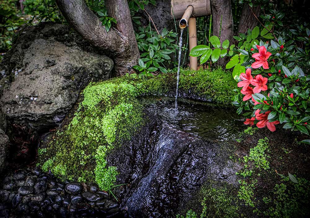 水鉢にも伏流水の恵