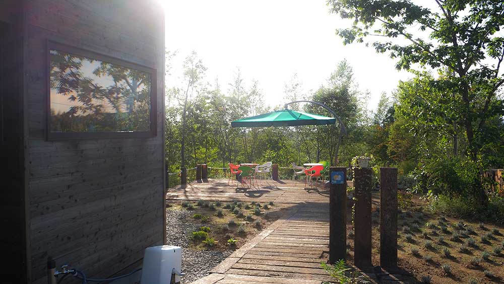 枕木の木道を行くと天空テラスに