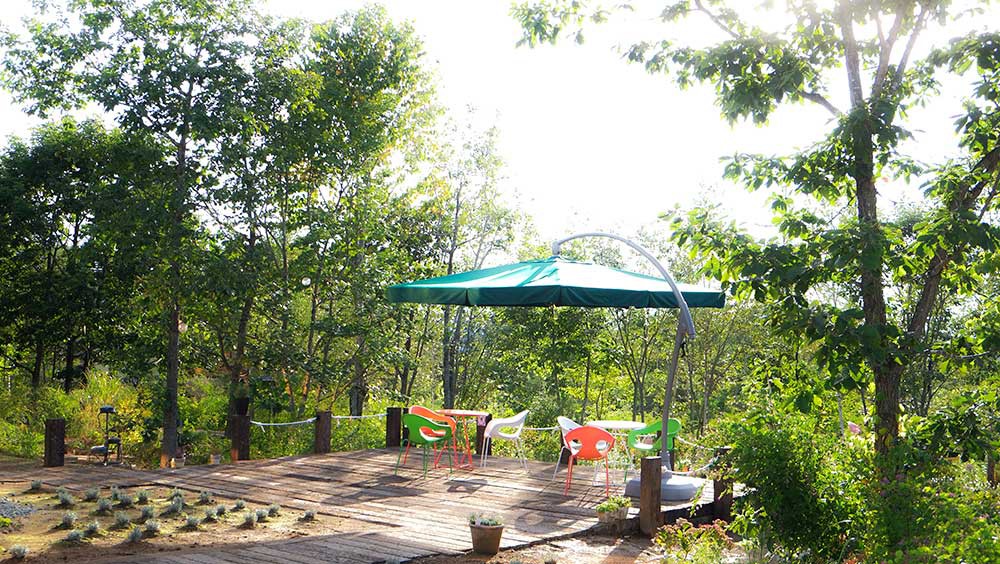 天空テラス全景