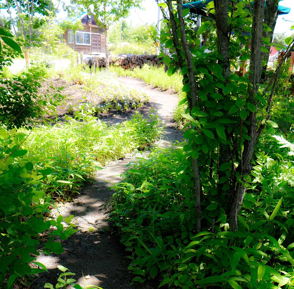 天空の庭につながる小径