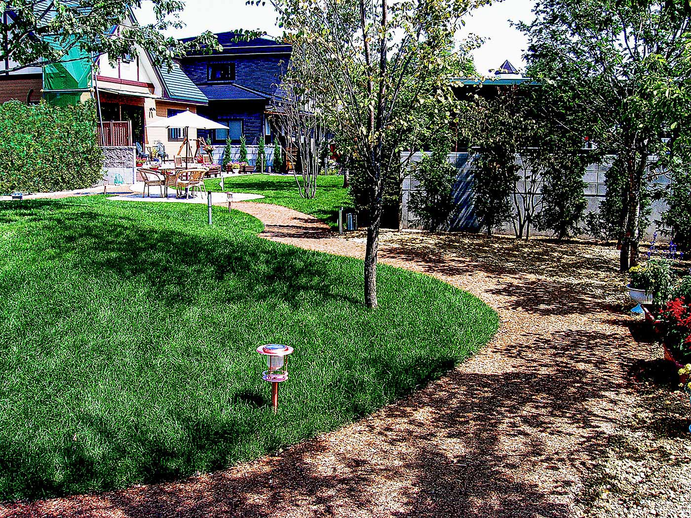 夏の日の園路（ウッドファイバー舗装）