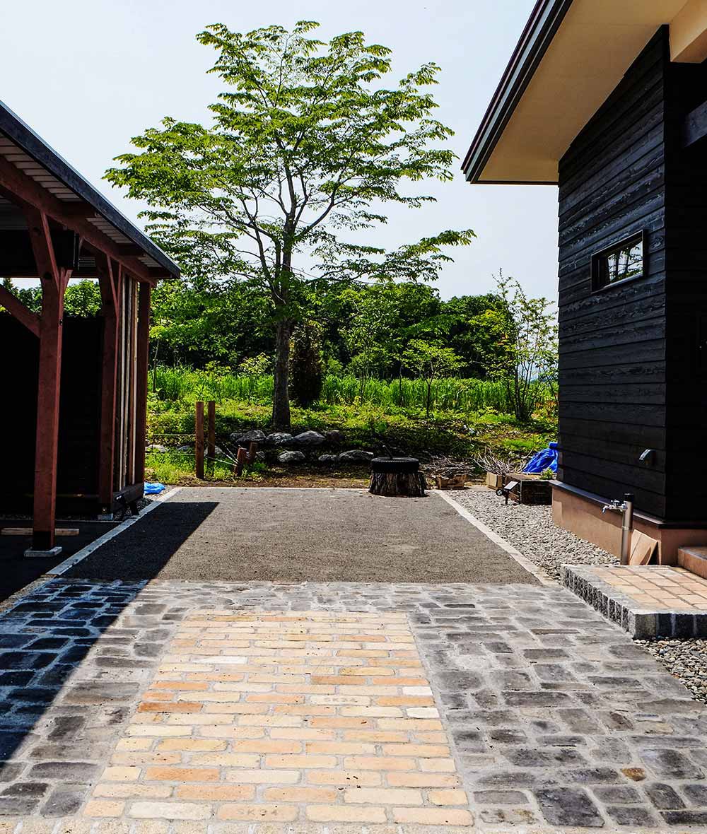 エントランスから望むハルニレ