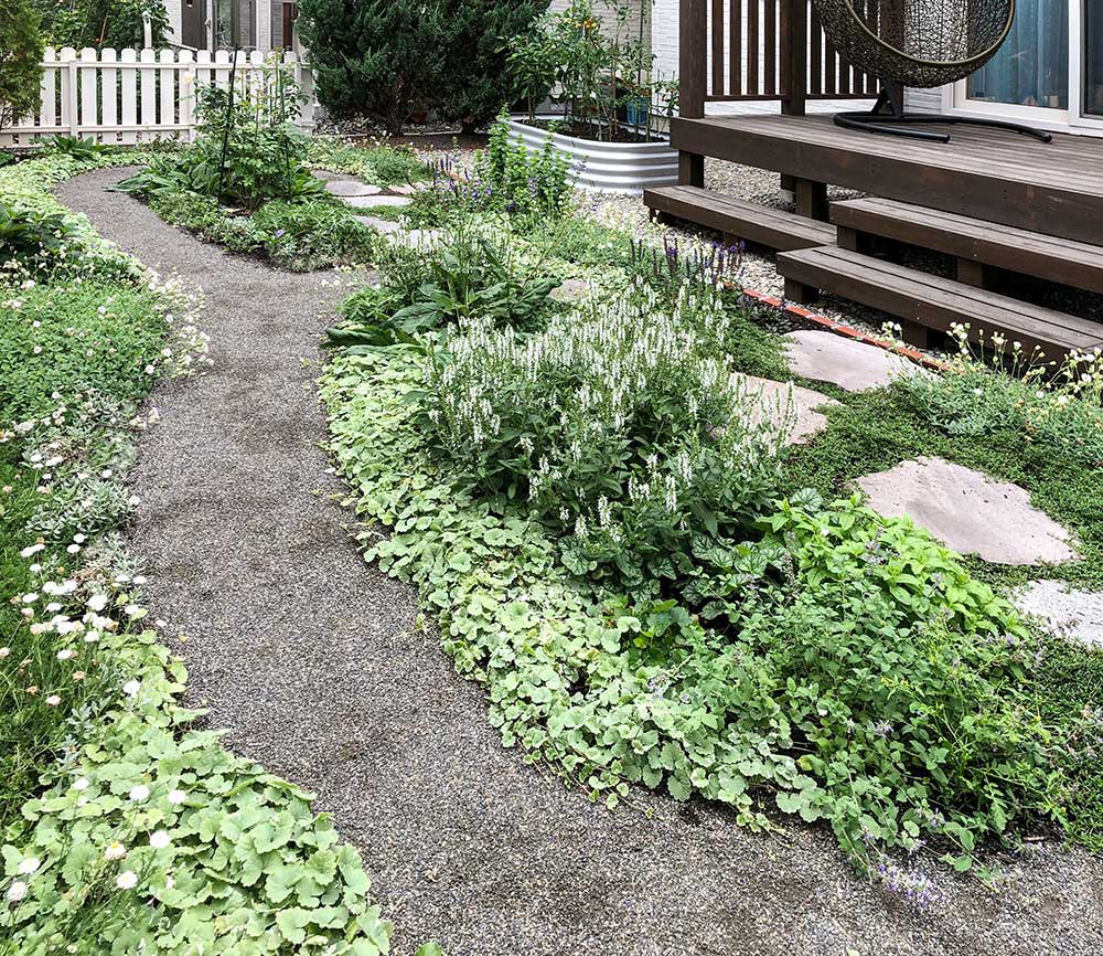 ダストの園路のまわり