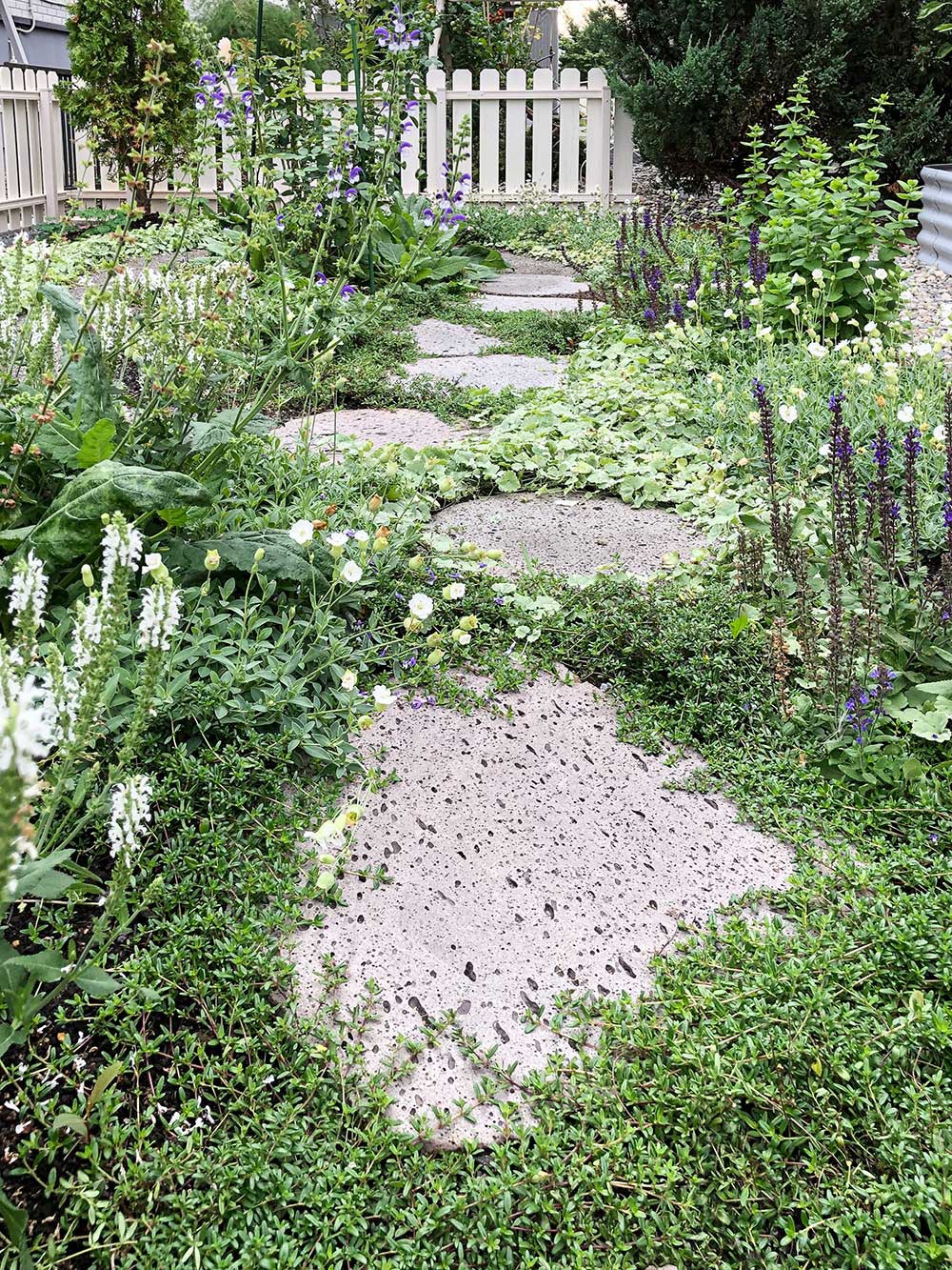 飛び石のまわりの感じ