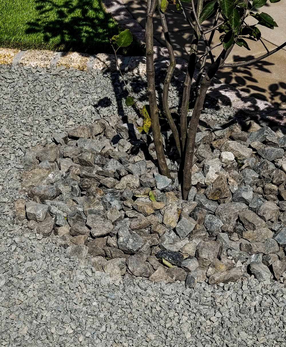 ジューンベリーの根締めにバラストストーン。 線路の敷き砂利です。