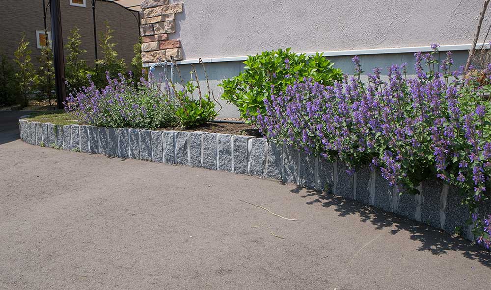 駐車場との縁は縁石のピンコロ