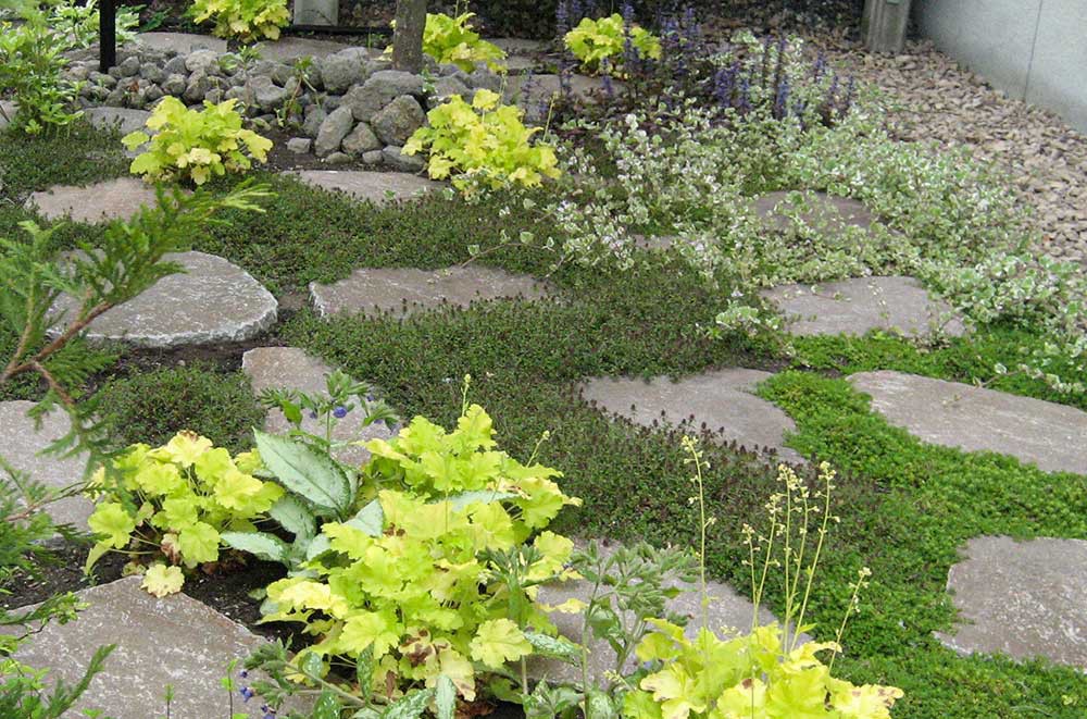 楽しい。うれしい。大好き。