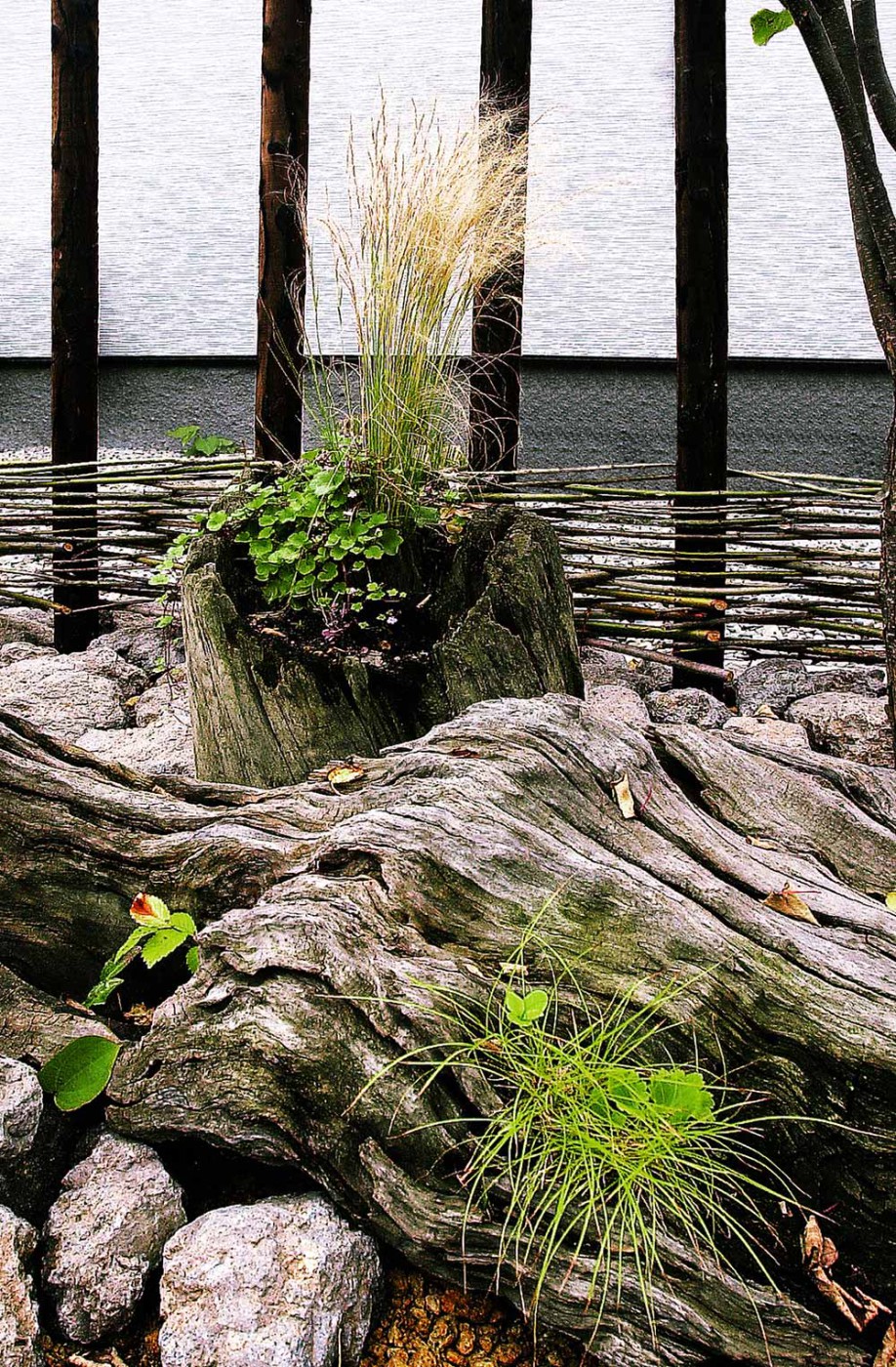 流木を活用したナチュラルなビューポイント。