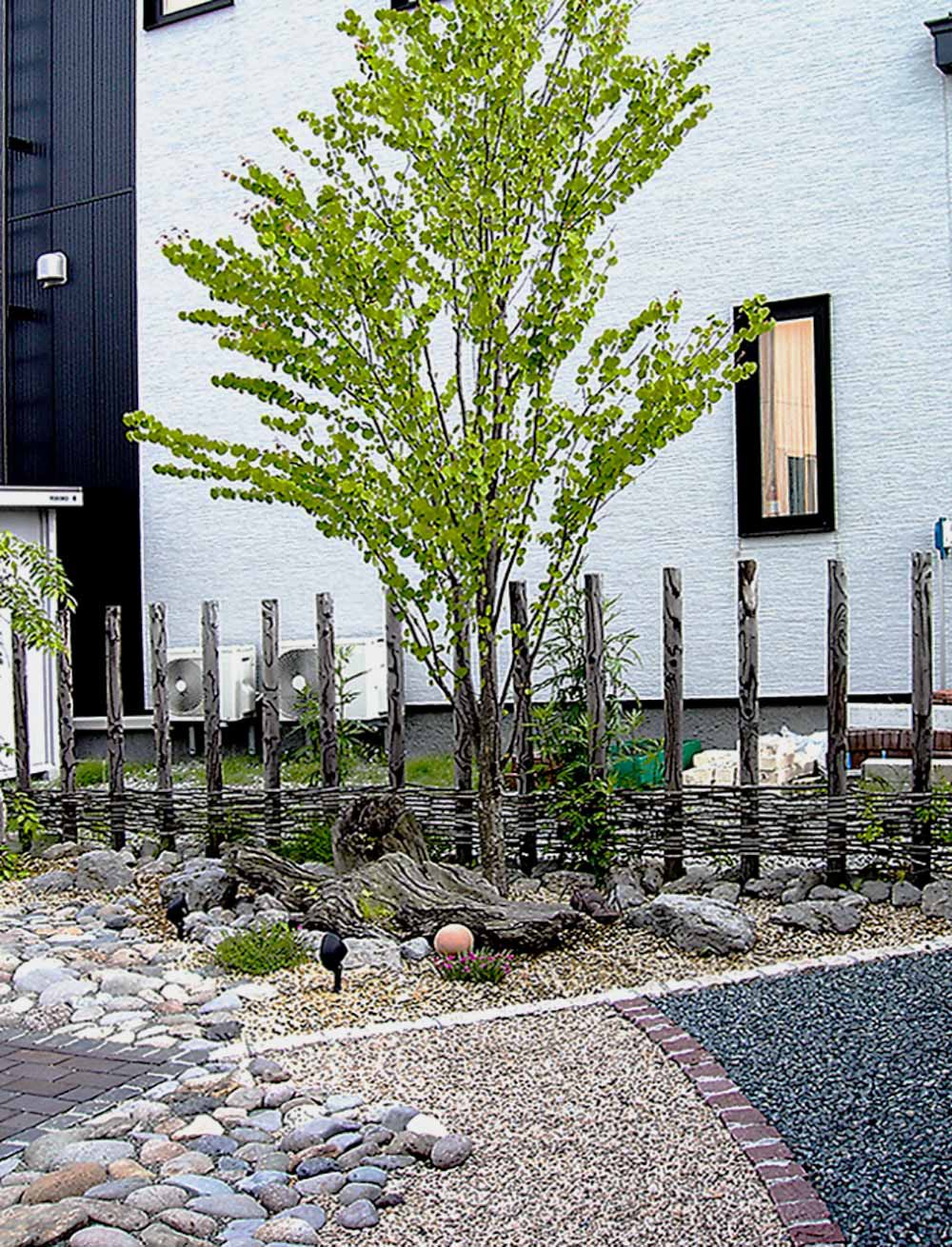 樹木はその勇姿で庭のカタチを印象付ける