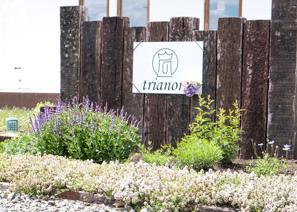 エントランスウォール