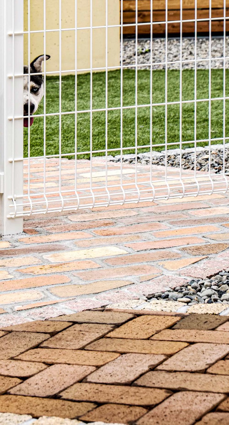 ひょっこりベル