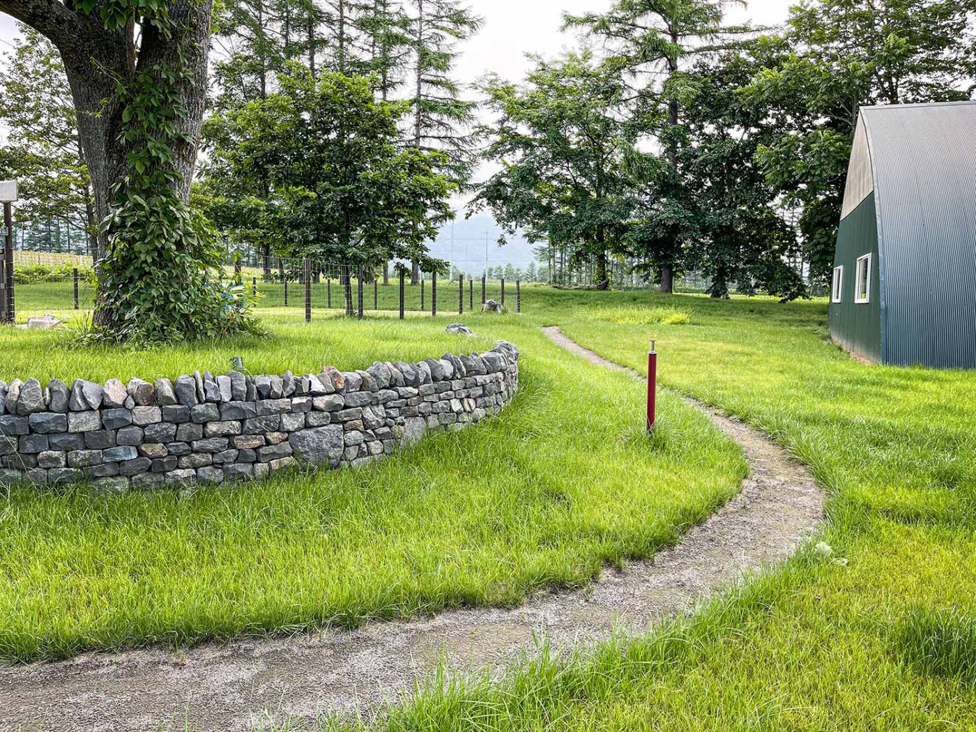 ハーブ花壇へのエントランス。 ダストという石の粉を転圧した舗装になっています。