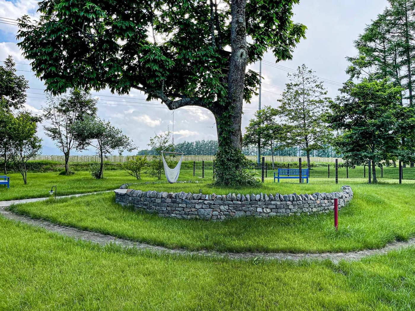 広いカフェの敷地に既存のヤチダモが雄大さの景観を助長しています。高低差を解消するための土留めもエントランスウォールと同一素材で仕上げられているので馴染み度合いが抜群です。