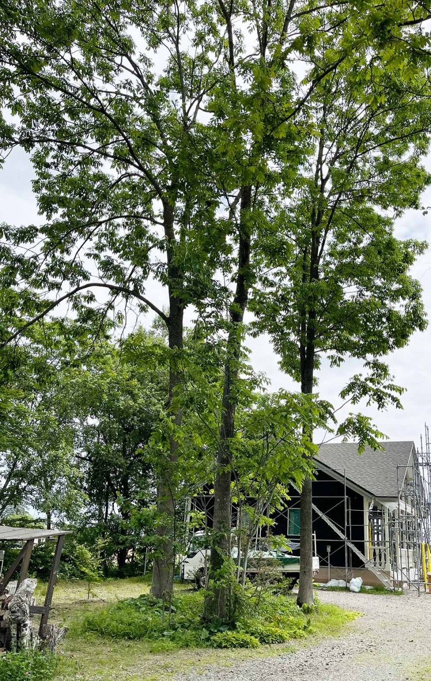 初めて現場を訪れた時の様子。