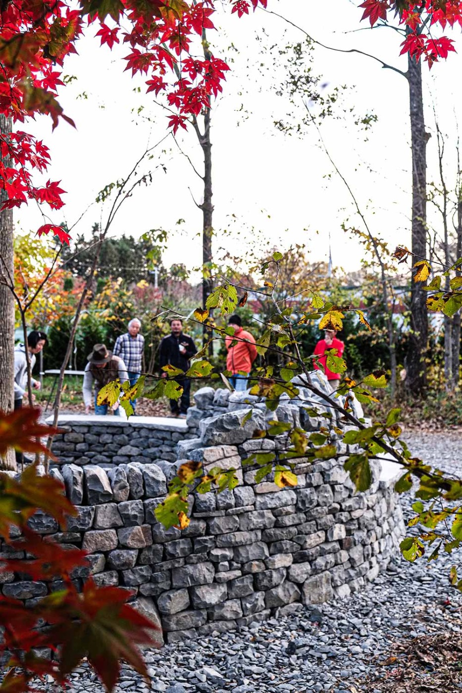 完成お披露目のワンシーン。