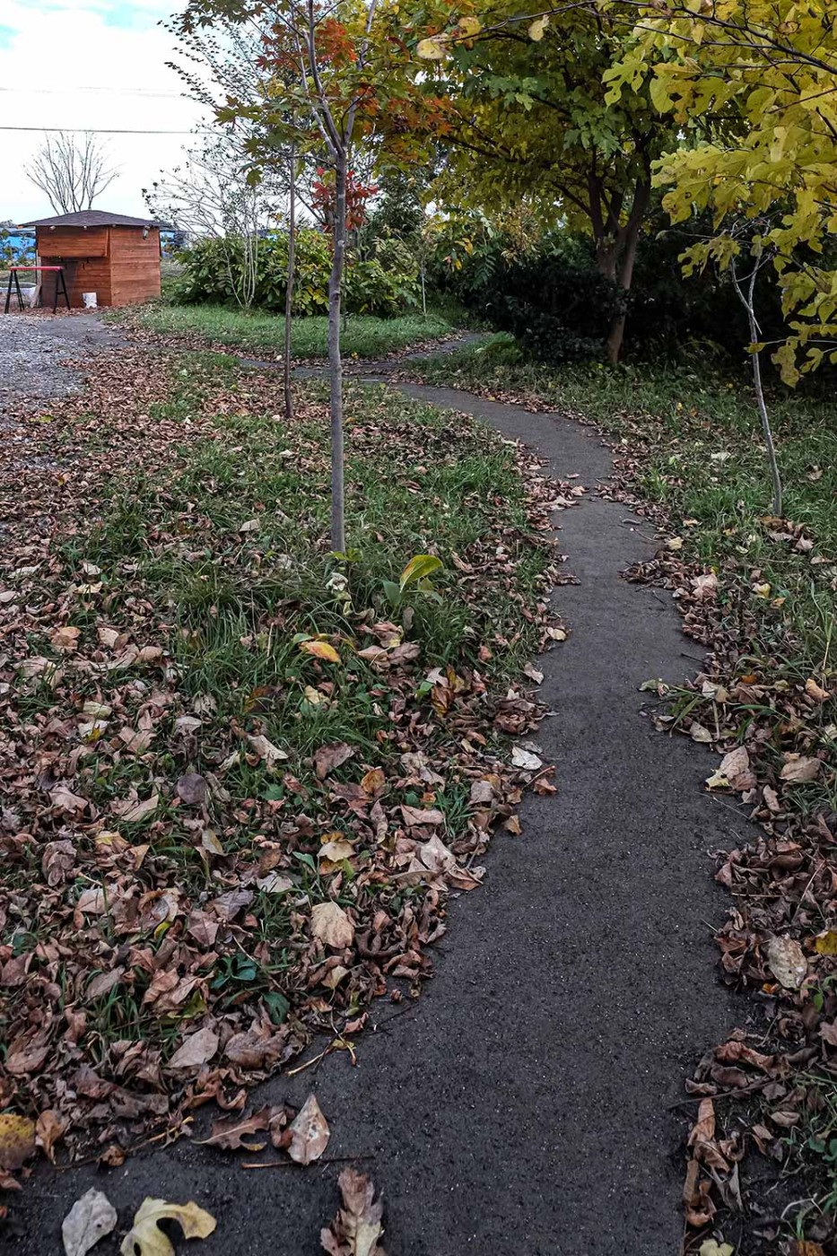 メインガーデンの方につながる園路。