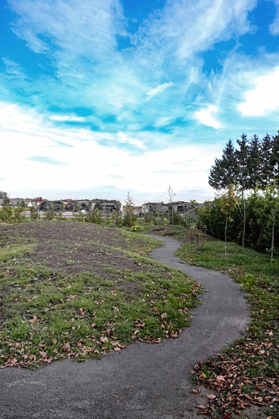 メインガーデンの築山。来年宿根草の植栽を控えています。