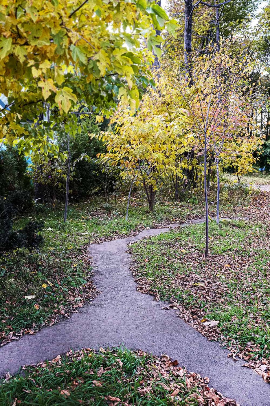 更なるグレードアップにご期待ください。