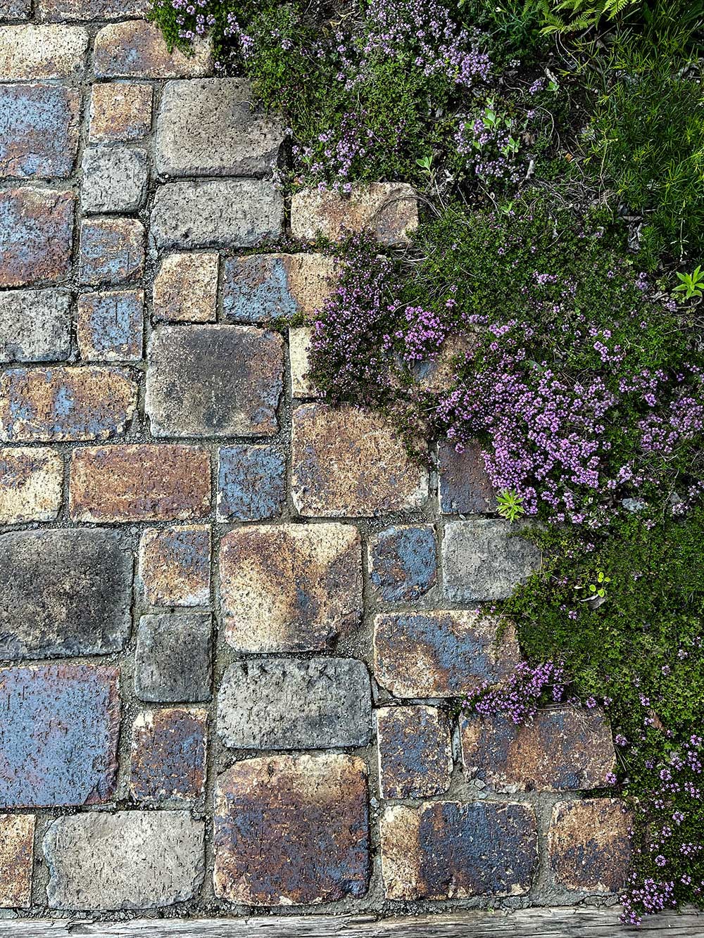 煉瓦のテクスチャー