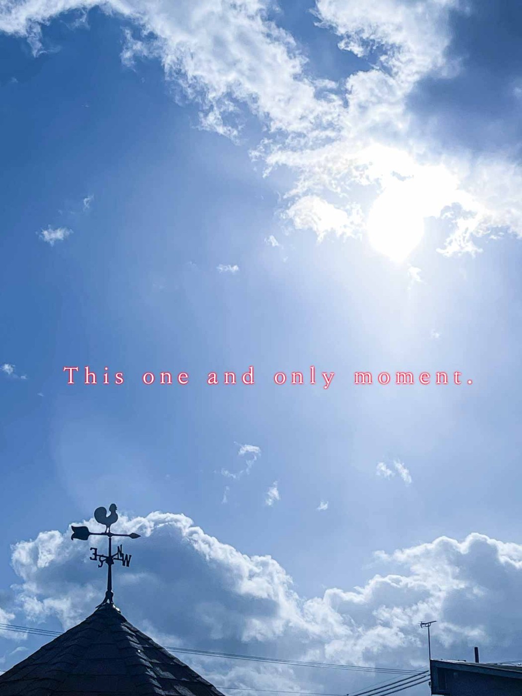 ようこそ。この瞬間は一度きり。楽しみましょう。