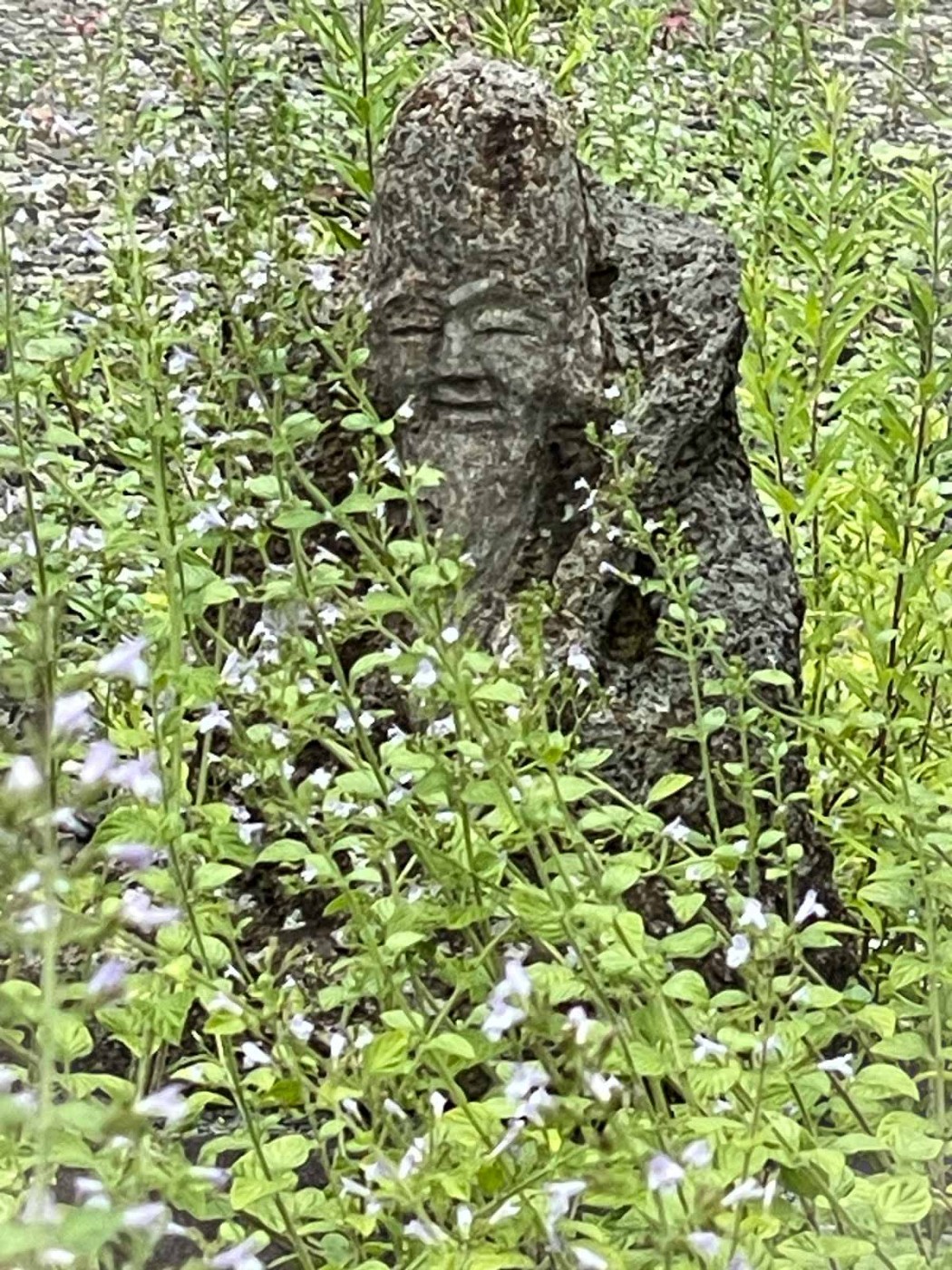 お寺だけど神様もいます。