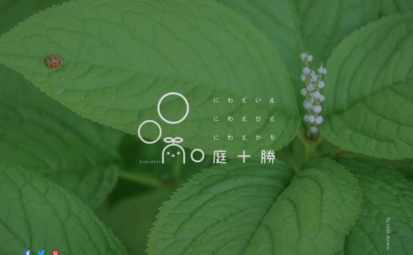 ホームページをリニューアルしました