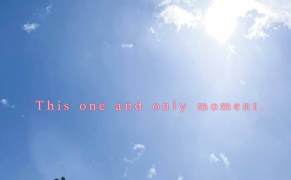 作品事例update情報